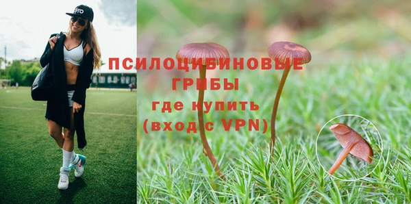 дмт Алексин