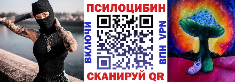 дарнет шоп  Полысаево  Псилоцибиновые грибы Psilocybe 
