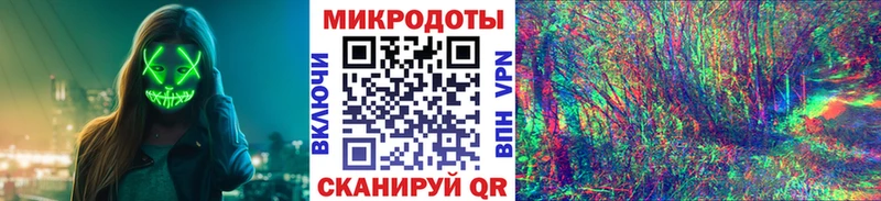Псилоцибиновые грибы Psilocybine cubensis Полысаево